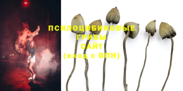 таблы Осташков