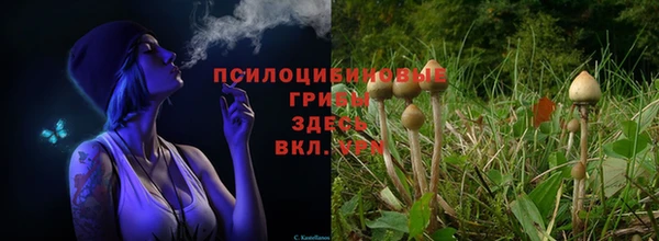 таблы Осташков