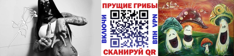 Галлюциногенные грибы Psilocybine cubensis  Лениногорск 