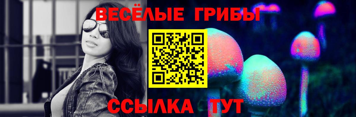 Псилоцибиновые грибы Magic Shrooms Лениногорск
