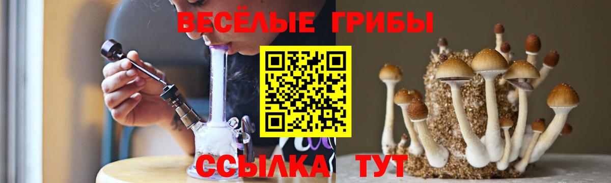 Псилоцибиновые грибы ЛСД  Вход с VPN  Псилоцибиновые грибы Psilocybe  Лениногорск 